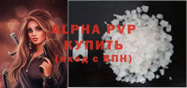 стаф Алексин