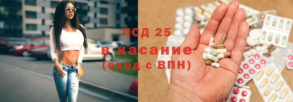 стаф Алзамай