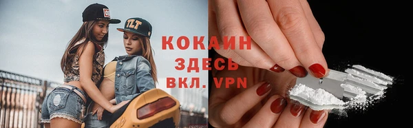 стаф Алзамай