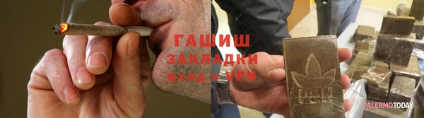 стаф Алзамай