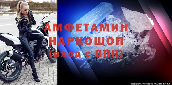 стаф Алзамай
