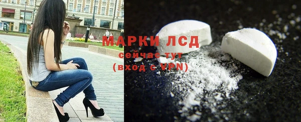 стаф Алексин