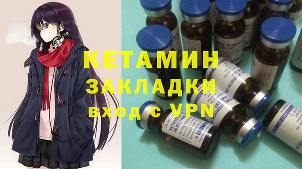 стаф Алзамай