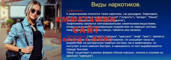 стаф Алексин