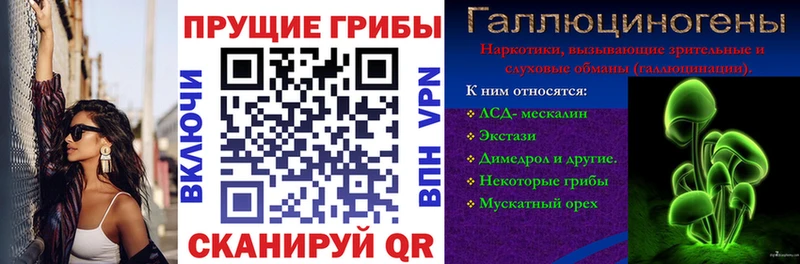 купить  сайты  Слободской  Галлюциногенные грибы прущие грибы 